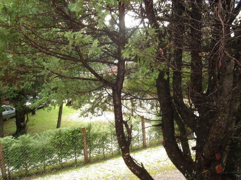 サンカルロスデバリローチェ Tinsel'S Houseヴィラ エクステリア 写真